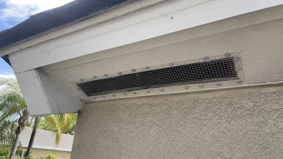 Attic insulation being assessed for animal contamination in an Orlando home